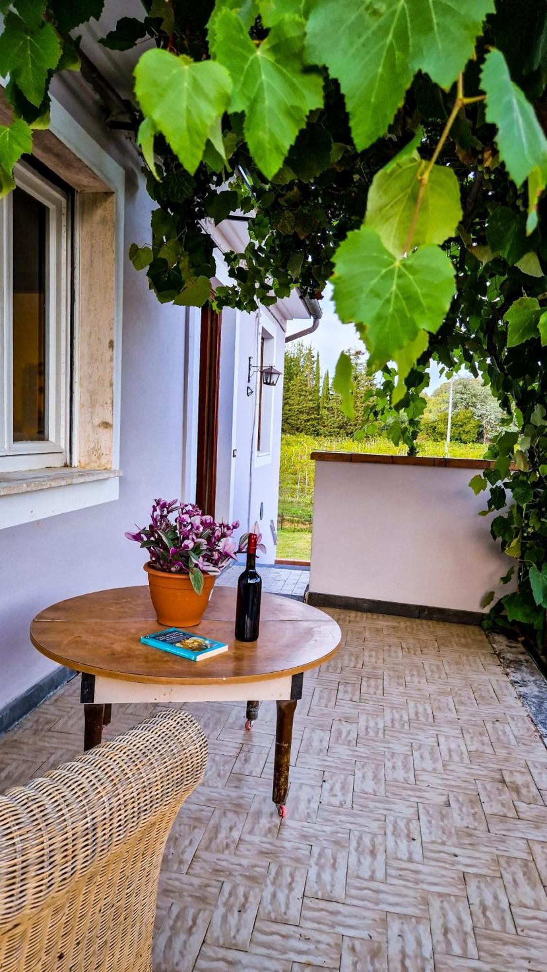 Wine House Bed & Breakfast Capannori Exterior photo