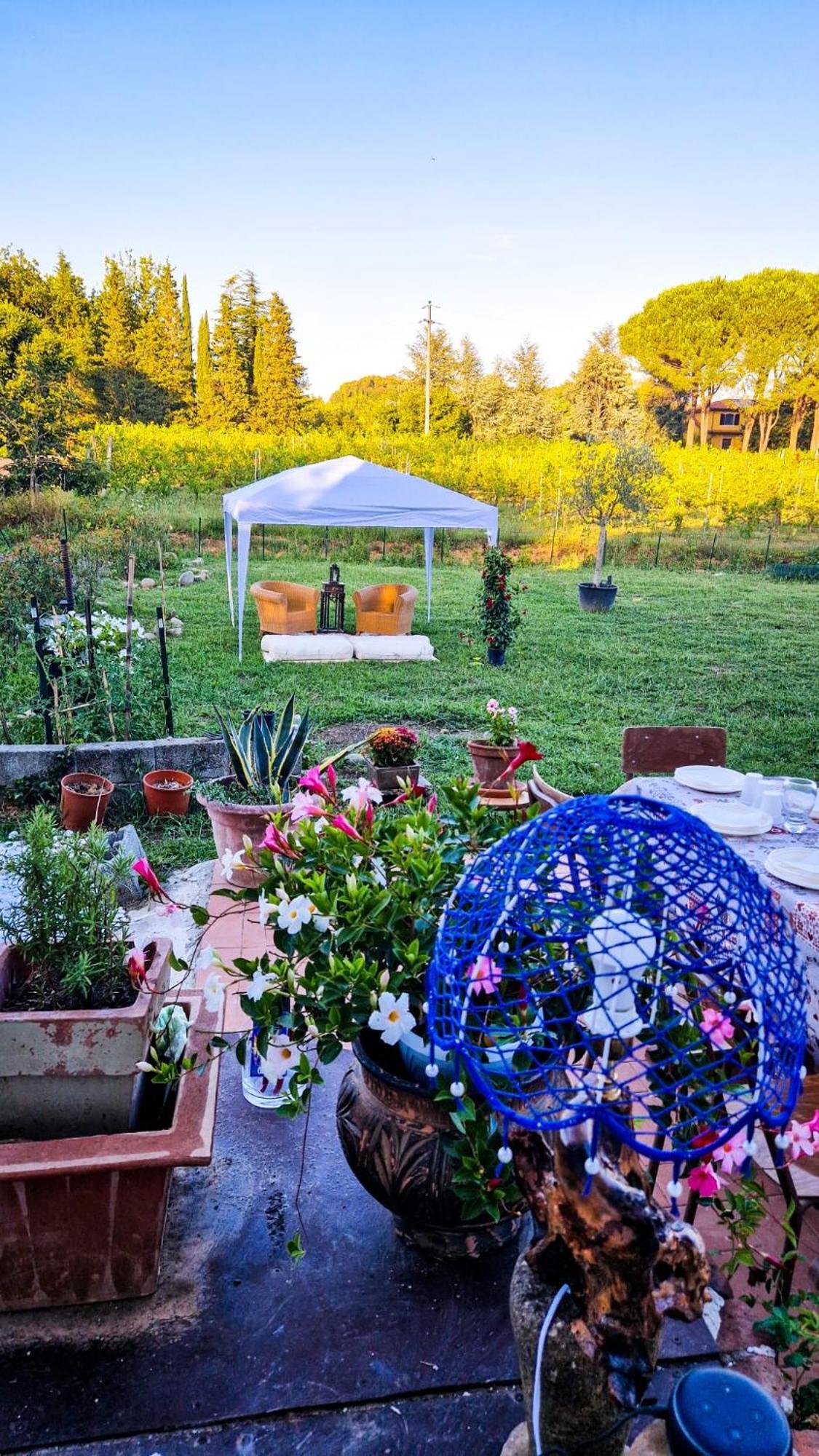 Wine House Bed & Breakfast Capannori Exterior photo
